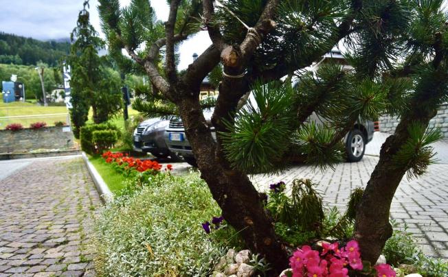 Фото отеля Ambassador Hotel Bormio