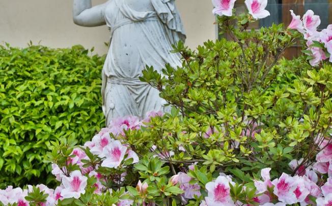 Фото отеля Villa Gabriele d'Annunzio Hotel