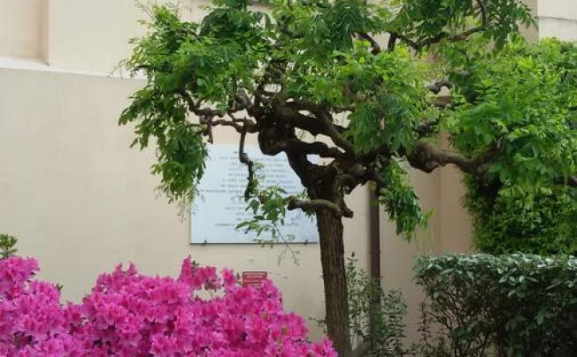 Фото отеля Villa Gabriele d'Annunzio Hotel