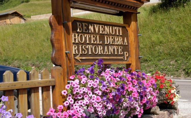 Фото отеля Debra Park Hotel