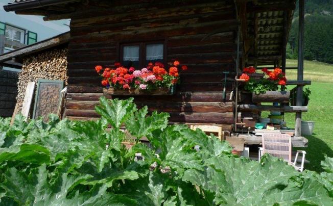 Фото отеля Villa gemmy