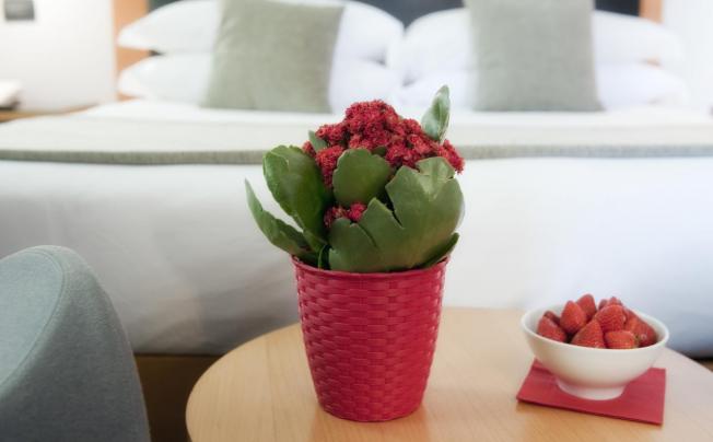 Фото отеля Ars Hotel