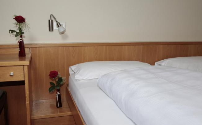 Фото отеля Alpino Plan Hotel