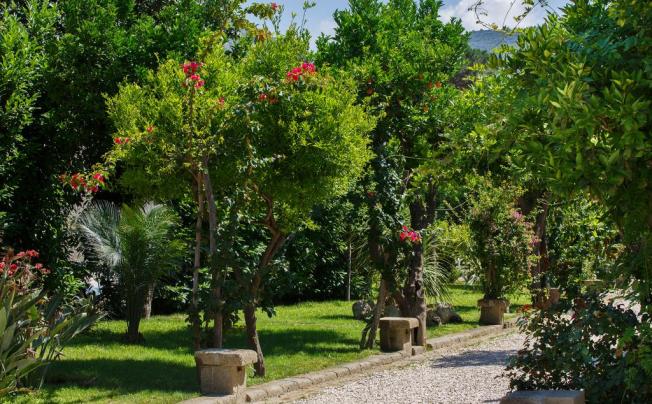 Фото отеля Villa Don Camillo