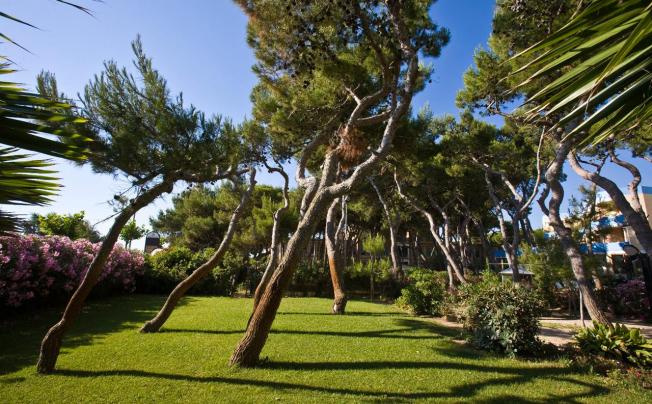 Фото отеля Parco Dei Principi