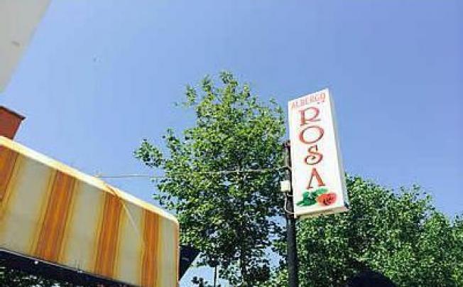 Фото отеля Hotel rosa