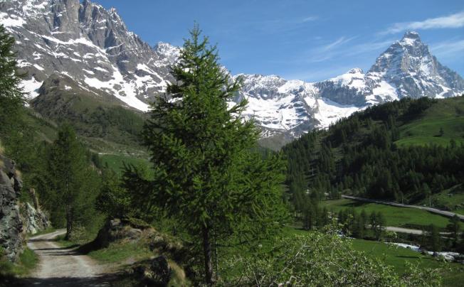 Фото отеля Meuble meridiana