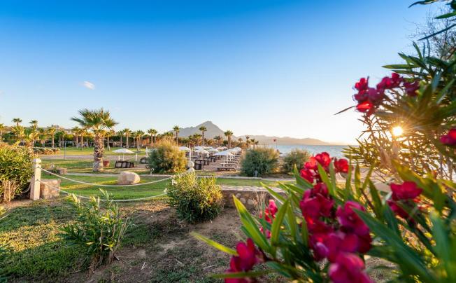 Фото отеля Acacia Resort Parco Dei Leoni