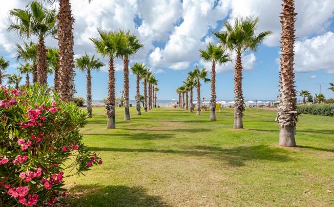 Фото отеля Acacia Resort Parco Dei Leoni