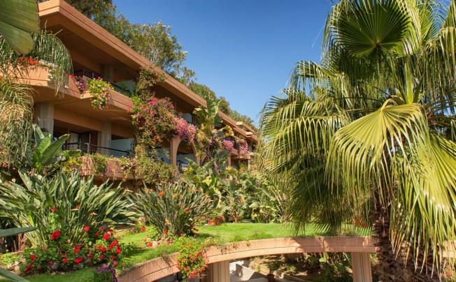 Фото отеля Acacia Resort Parco Dei Leoni