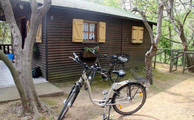 Фото отеля VILLAGGIO TURISTICO IL PAESE DI CIRIBI