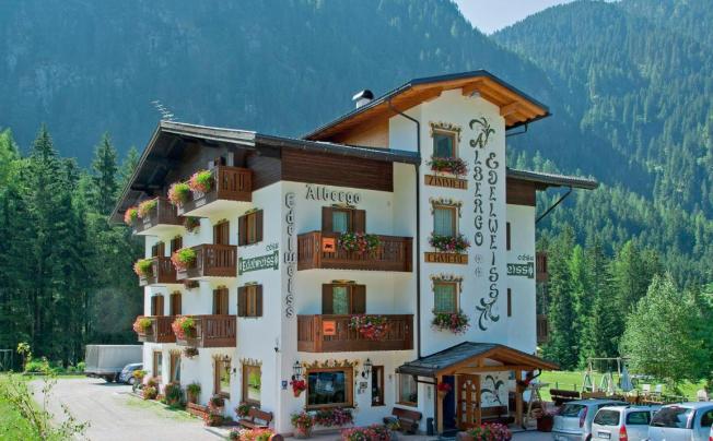 Фото отеля Cesa Edelweiss Hotel