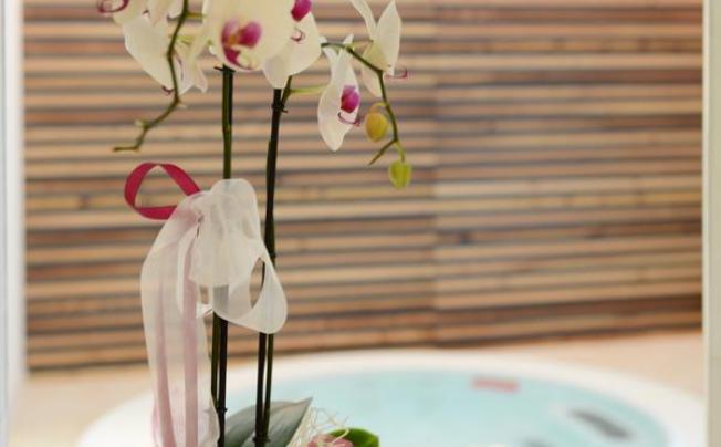 Фото отеля Dolomeet Boutique Hotel