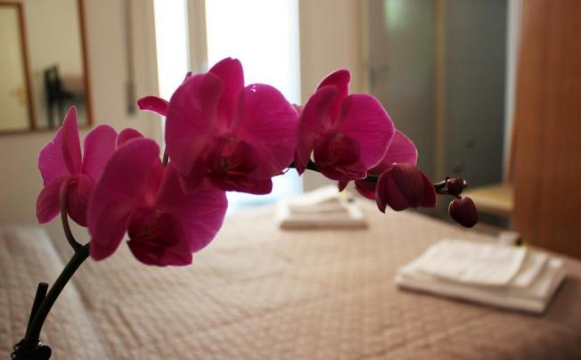 Фото отеля Hotel Leda