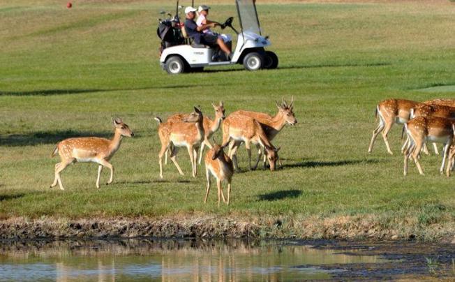 Фото отеля Golf Hotel Albarella