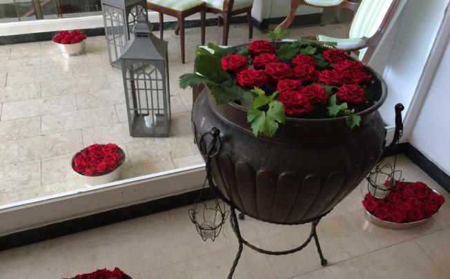Фото отеля Hotel eveline portosole