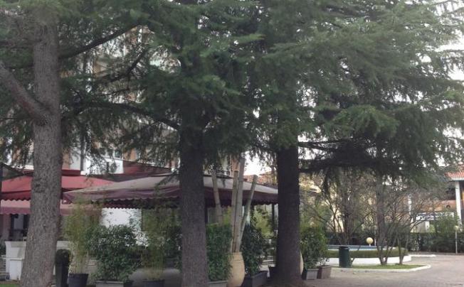 Фото отеля La Meridiana