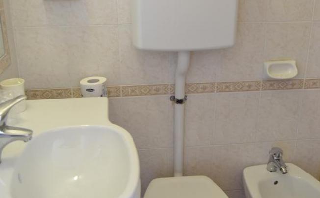 Фото отеля Apis Hotel