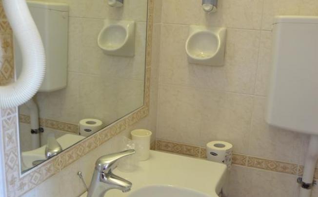 Фото отеля Apis Hotel
