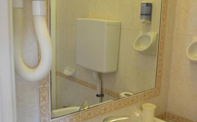 Фото отеля Apis Hotel
