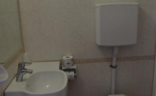 Фото отеля Apis Hotel
