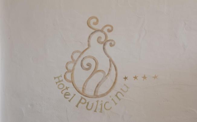 Фото отеля Hotel Pulicinu