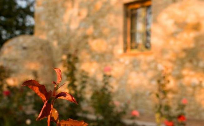 Фото отеля Villa il Castagno Wine & Resort