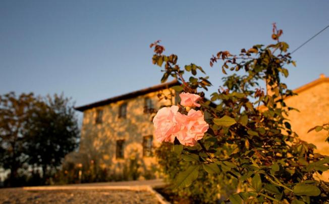 Фото отеля Villa il Castagno Wine & Resort