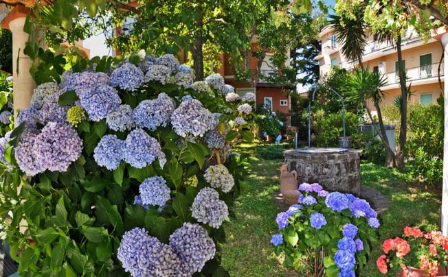 Фото отеля Villa Fernanda