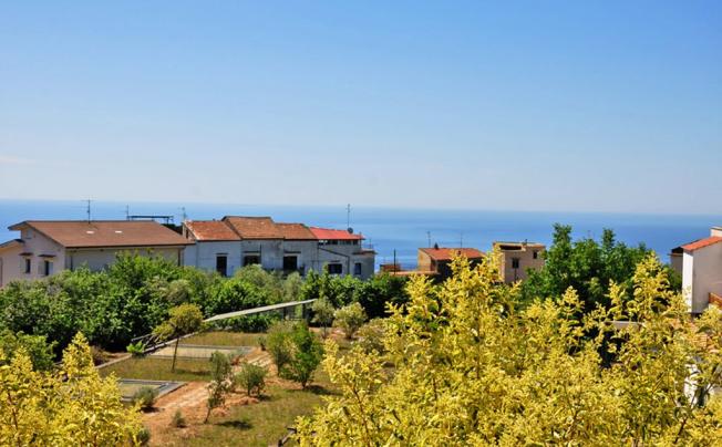 Фото отеля Villa Fernanda