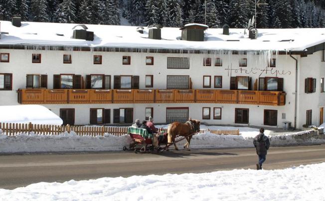 Фото отеля Des Alpes Hotel