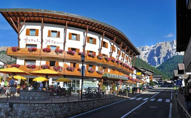 Фото отеля Des Alpes Hotel