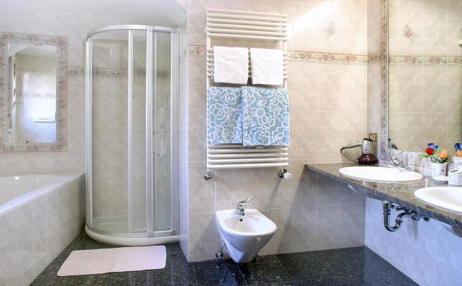 Фото отеля Des Alpes Hotel
