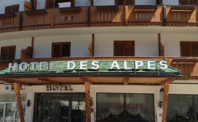 Фото отеля Des Alpes Hotel