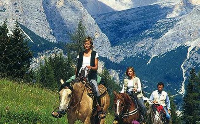 Фото отеля Des Alpes Hotel