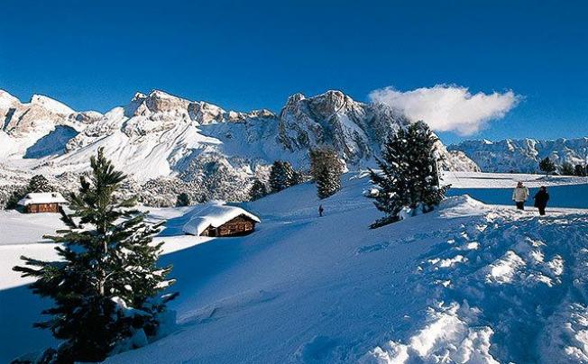 Фото отеля Des Alpes Hotel