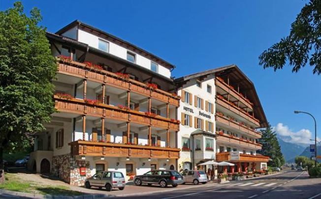 Фото отеля Dolomiti