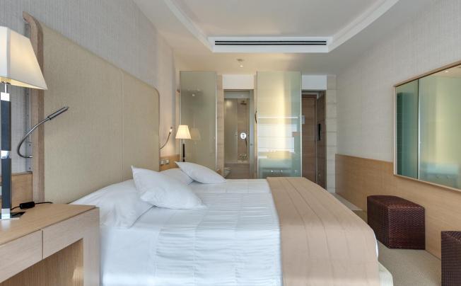 Фото отеля Barcelo Aran Mantegna Hotel