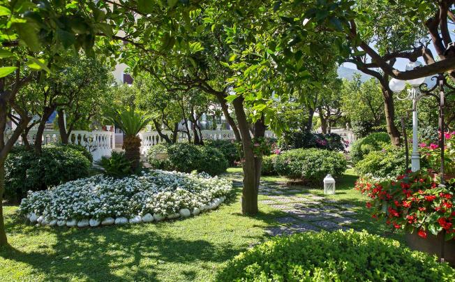 Фото отеля Hotel La Medusa