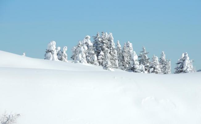 Фото отеля Eden