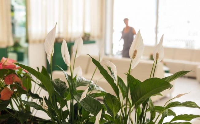 Фото отеля Confort Hotel