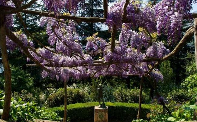 Фото отеля Villa Cimbrone 