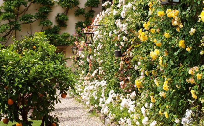 Фото отеля Villa San Michele Belmond Hotel