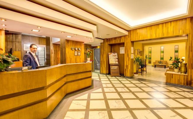 Фото отеля HOTEL MILANI