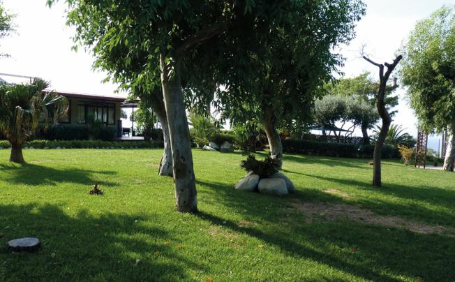Фото отеля Hotel Sciaron