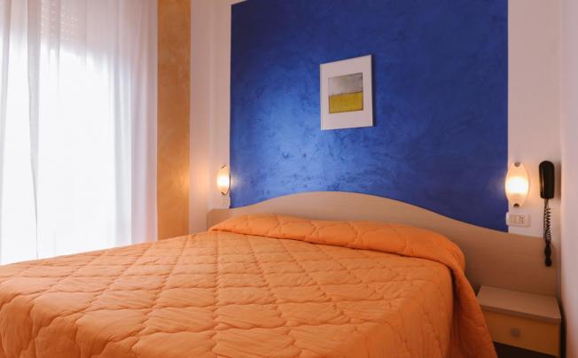 Фото отеля Hotel Viking