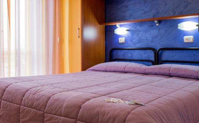 Фото отеля Hotel Viking