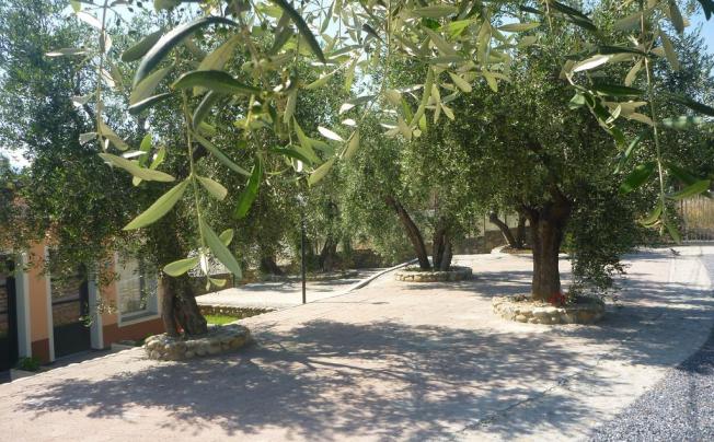 Фото отеля RTA VILLAGGIO BORGO VERDE