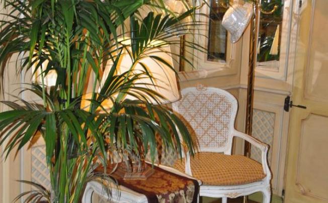Фото отеля Hotel Villa Laguna