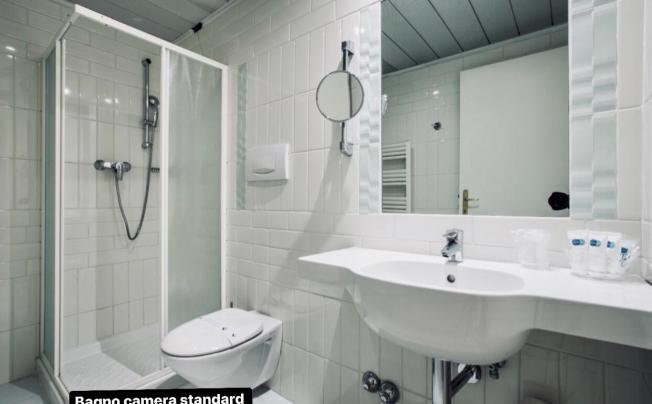 Фото отеля Ariston Hotel Mestre